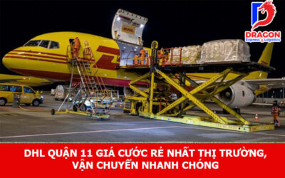 DHL Quận 11