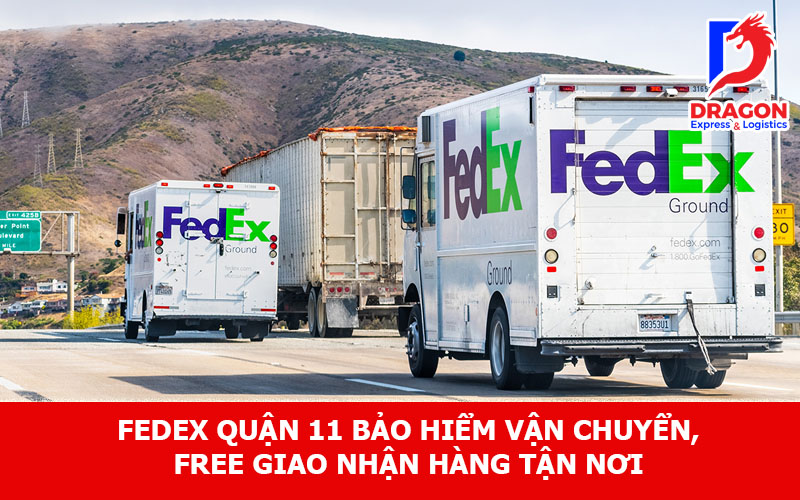 Fedex Quận 11